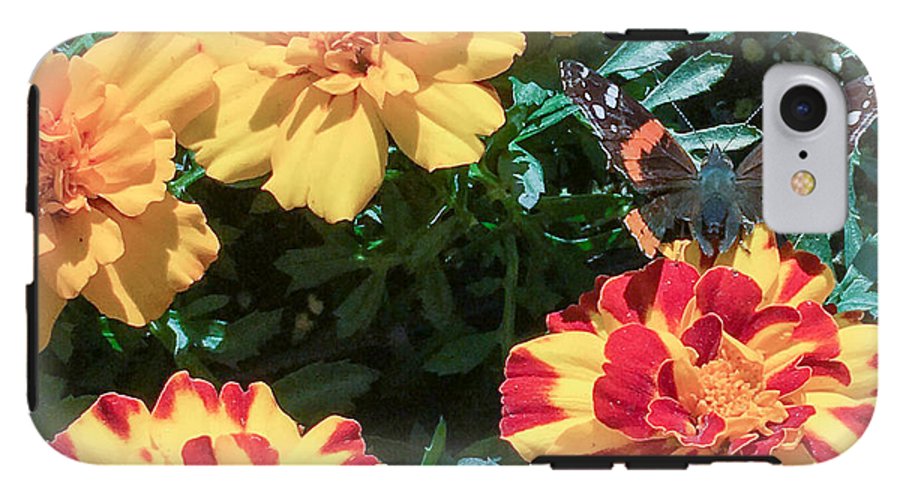 Red Admiral on Marigold - Phone Case