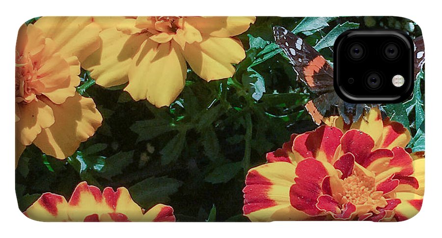 Red Admiral on Marigold - Phone Case