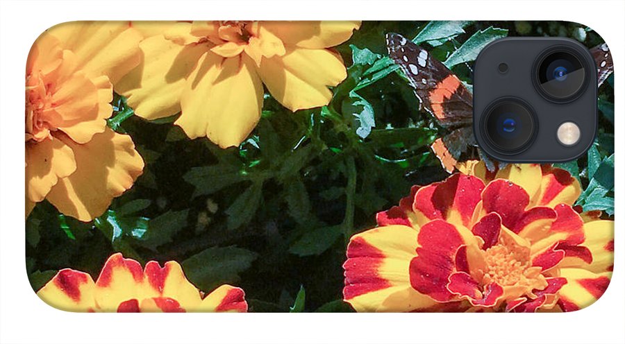 Red Admiral on Marigold - Phone Case