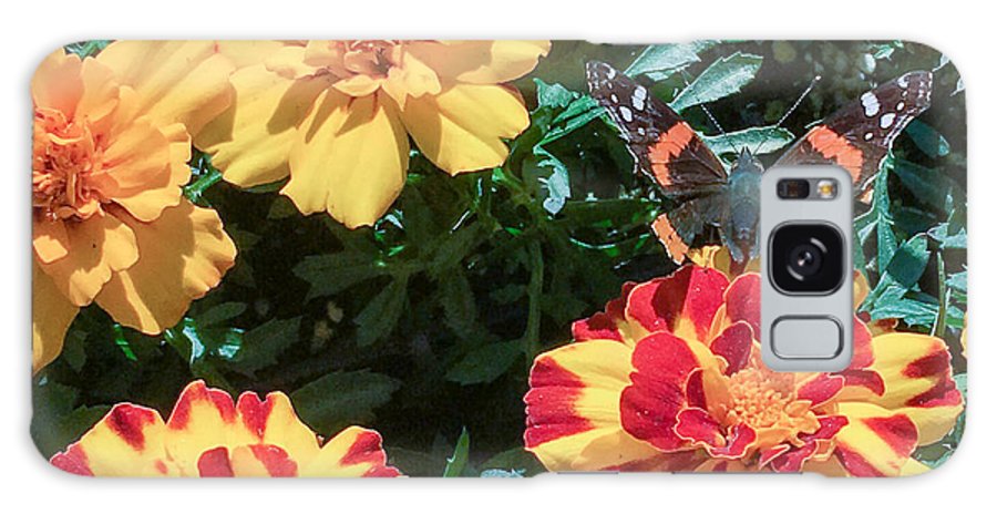 Red Admiral on Marigold - Phone Case