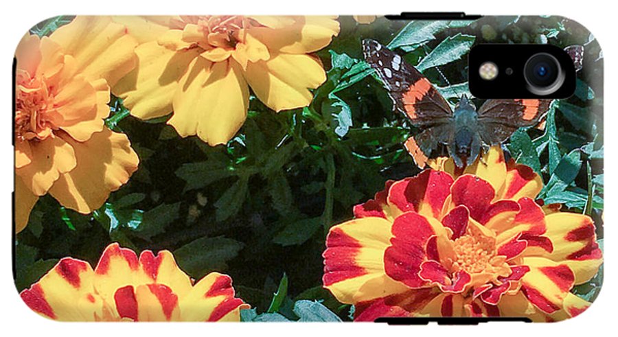 Red Admiral on Marigold - Phone Case