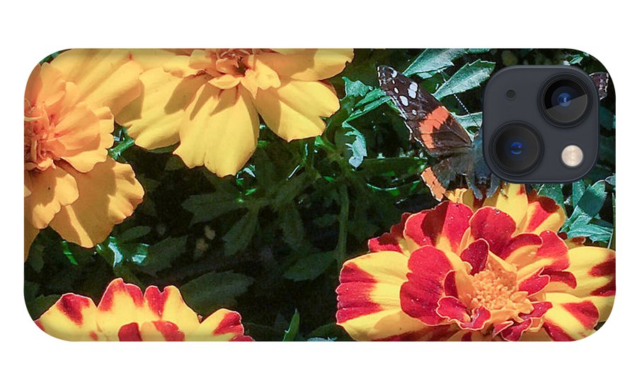 Red Admiral on Marigold - Phone Case