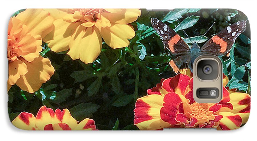 Red Admiral on Marigold - Phone Case