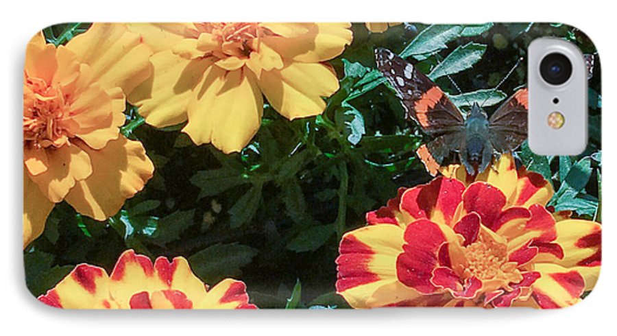 Red Admiral on Marigold - Phone Case