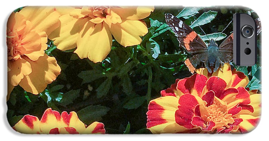 Red Admiral on Marigold - Phone Case