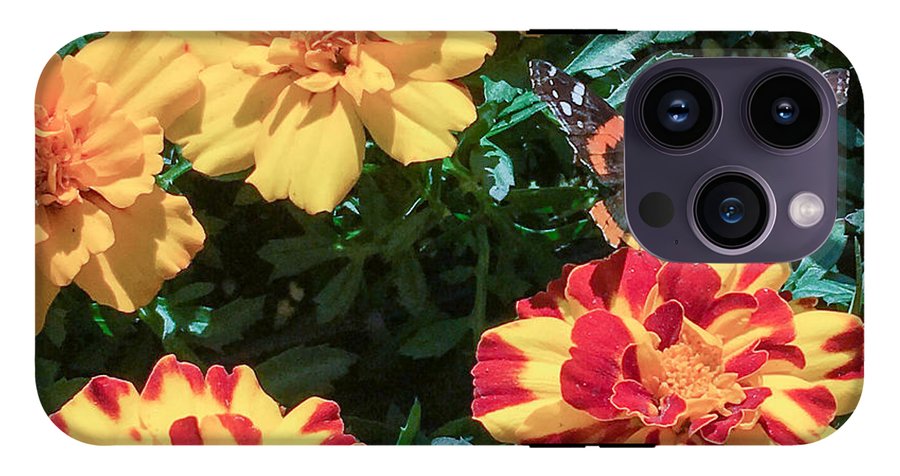 Red Admiral on Marigold - Phone Case