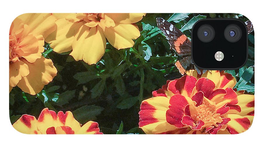 Red Admiral on Marigold - Phone Case