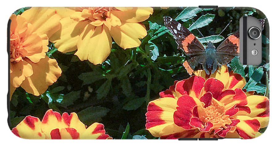 Red Admiral on Marigold - Phone Case