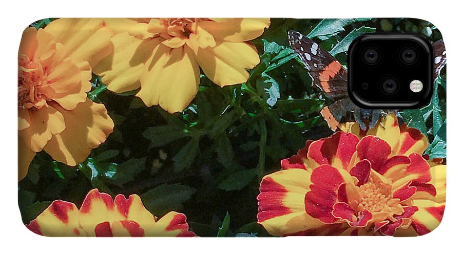 Red Admiral on Marigold - Phone Case