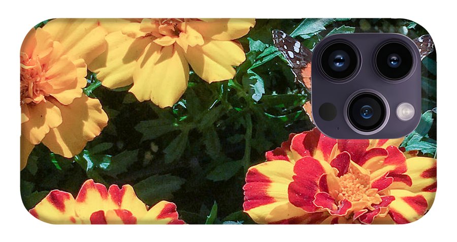 Red Admiral on Marigold - Phone Case