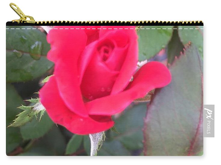 Rosebud - Zip Pouch