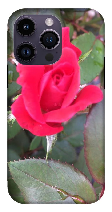 Rosebud - Phone Case