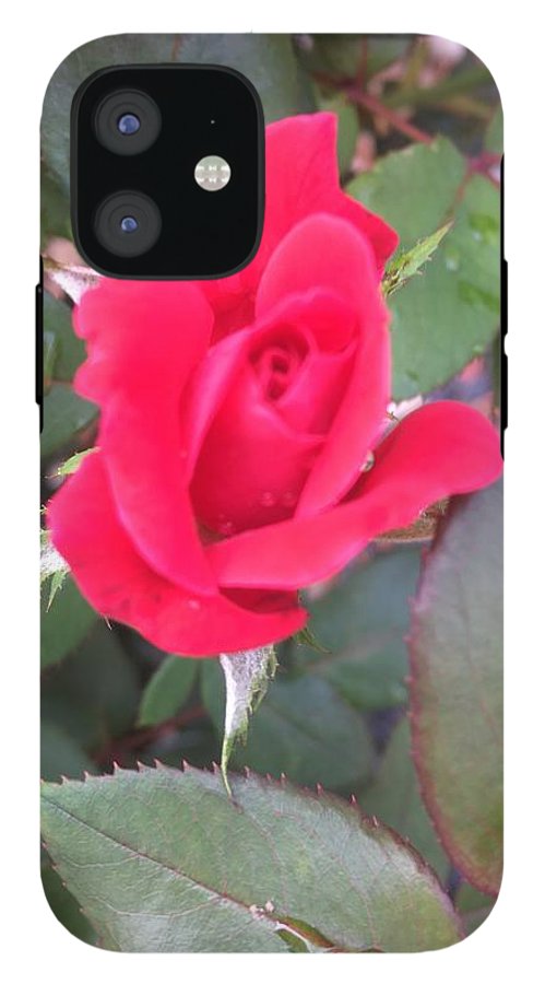 Rosebud - Phone Case