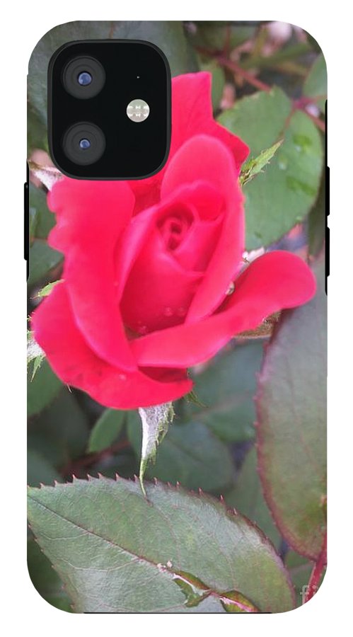 Rosebud - Phone Case