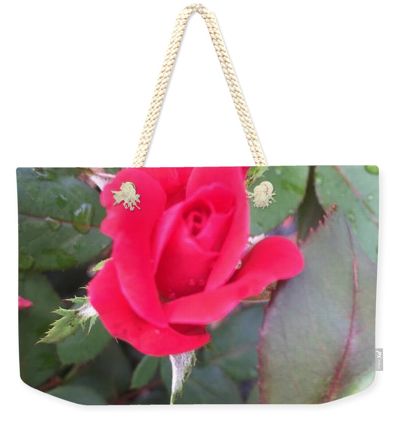 Rosebud - Weekender Tote Bag