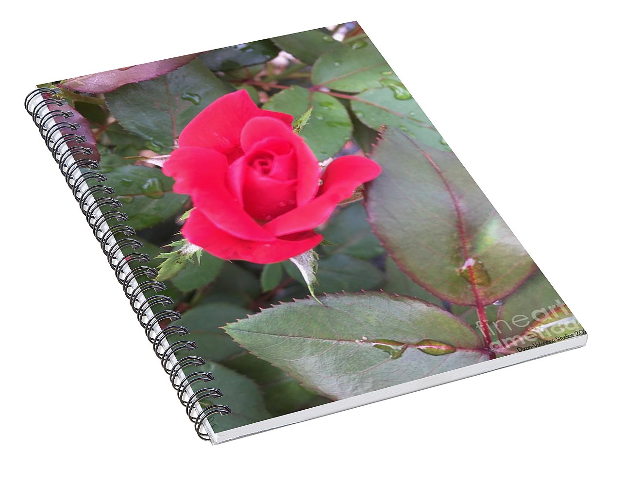 Rosebud - Spiral Notebook