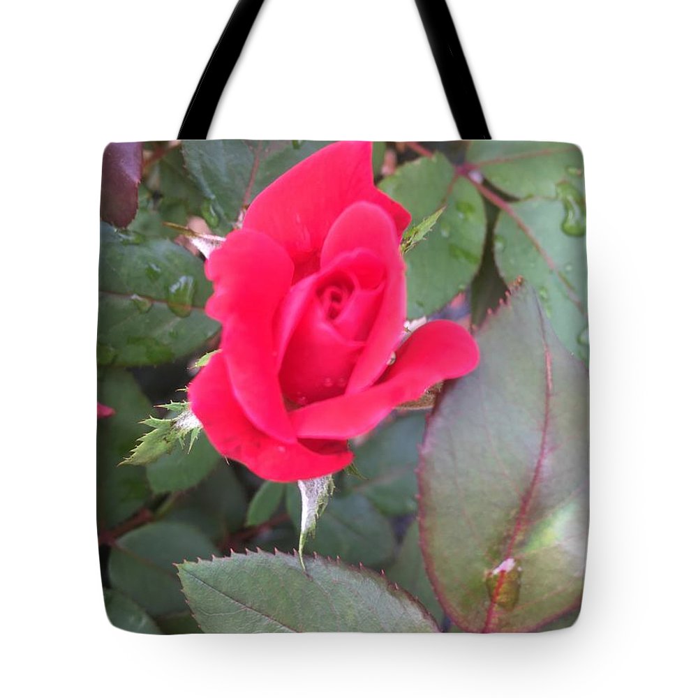 Rosebud - Tote Bag