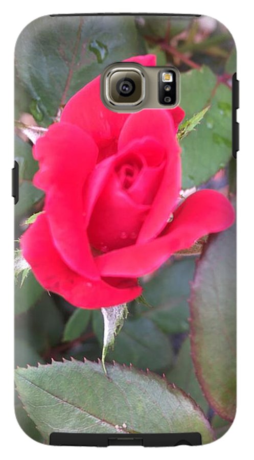 Rosebud - Phone Case