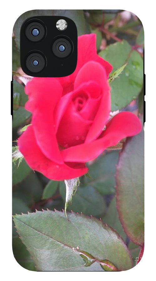 Rosebud - Phone Case