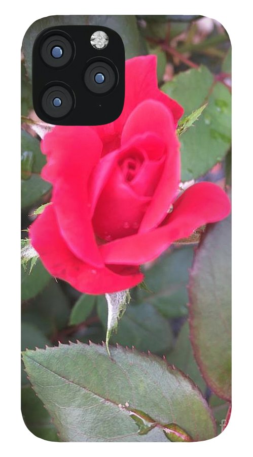 Rosebud - Phone Case