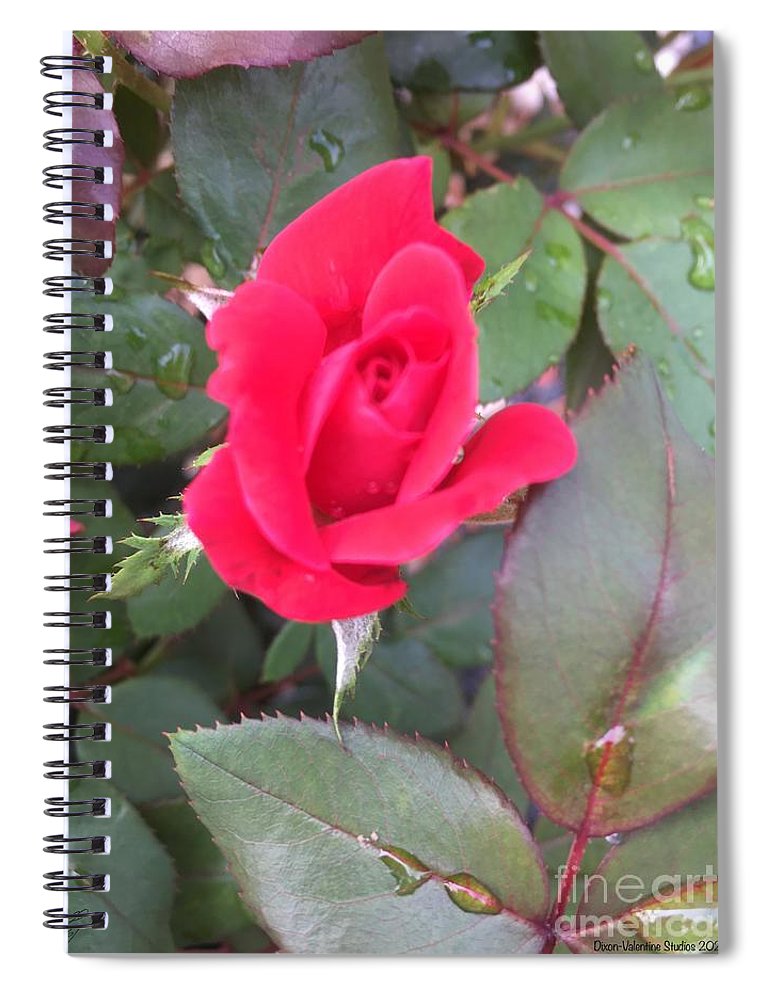 Rosebud - Spiral Notebook