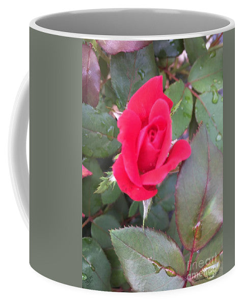 Rosebud - Mug