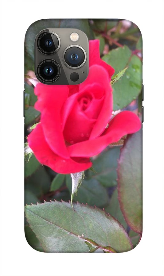 Rosebud - Phone Case