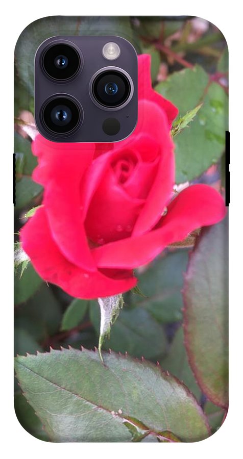 Rosebud - Phone Case