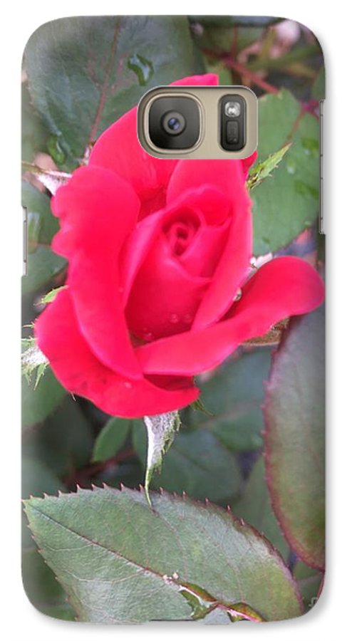 Rosebud - Phone Case