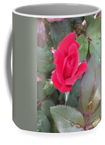 Rosebud - Mug