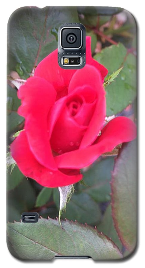 Rosebud - Phone Case