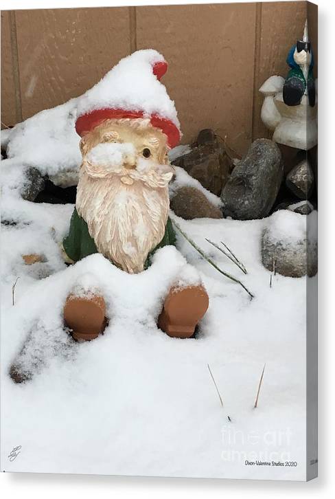 Snow Gnome - Canvas Print