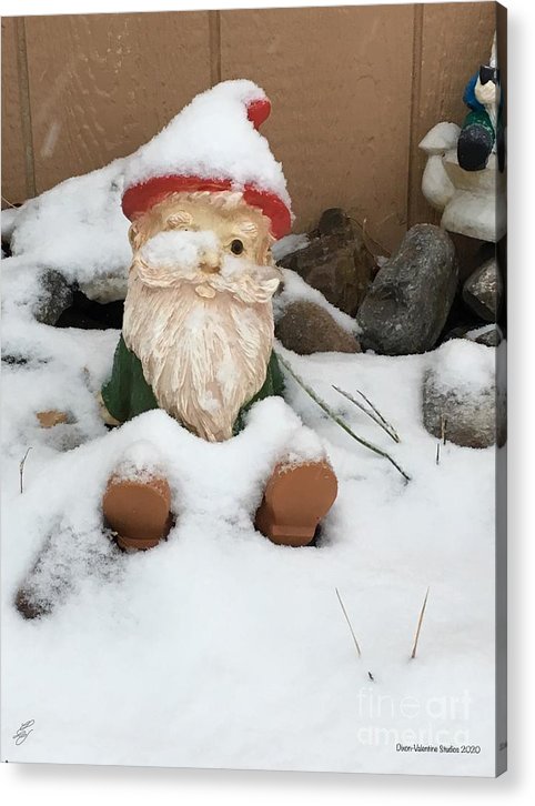 Snow Gnome - Acrylic Print
