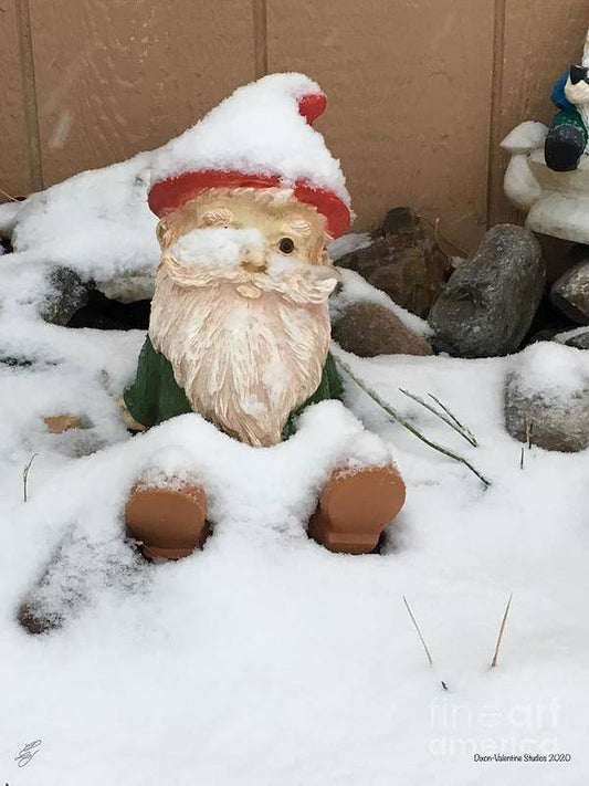 Snow Gnome - Art Print