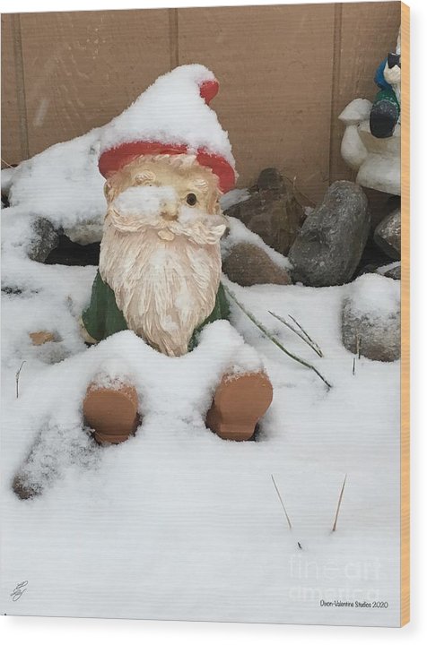 Snow Gnome - Wood Print