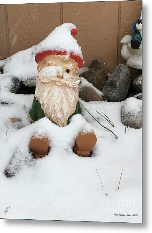 Snow Gnome - Metal Print