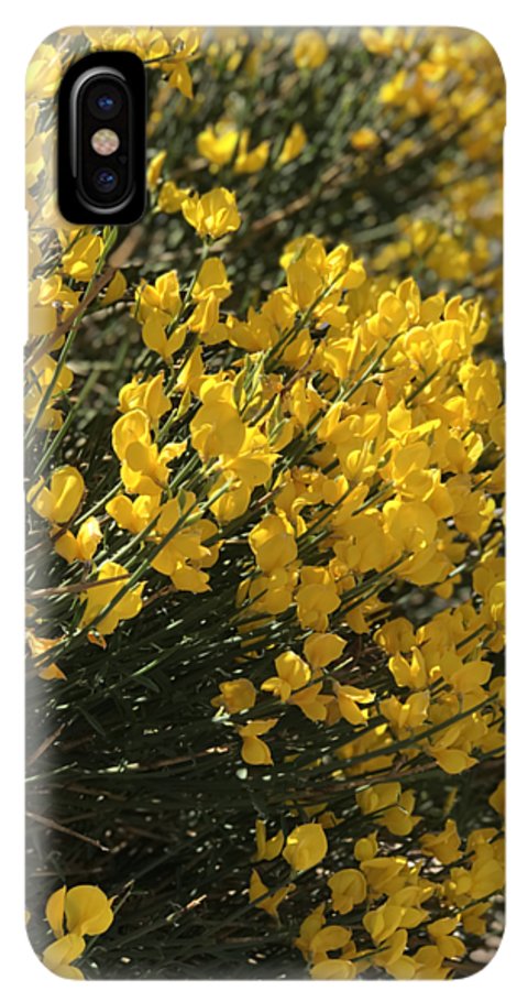 Spanish Broom - Phone Case