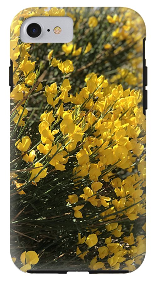 Spanish Broom - Phone Case