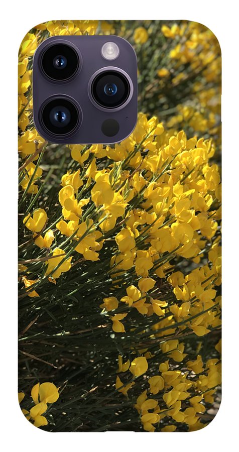 Spanish Broom - Phone Case