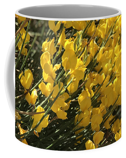 Spanish Broom - Mug