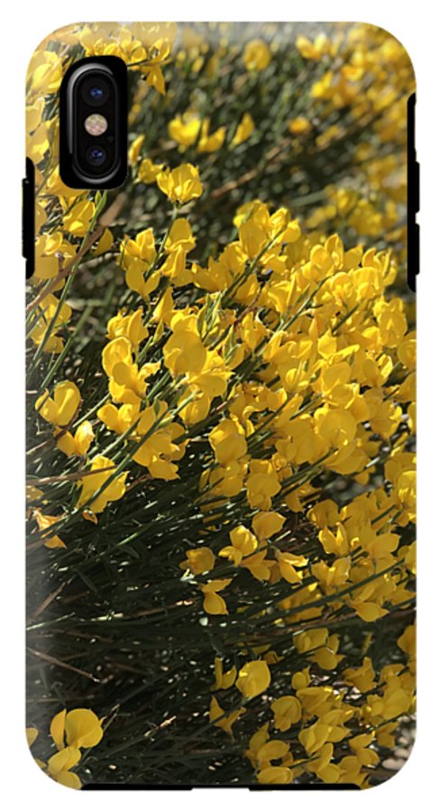 Spanish Broom - Phone Case