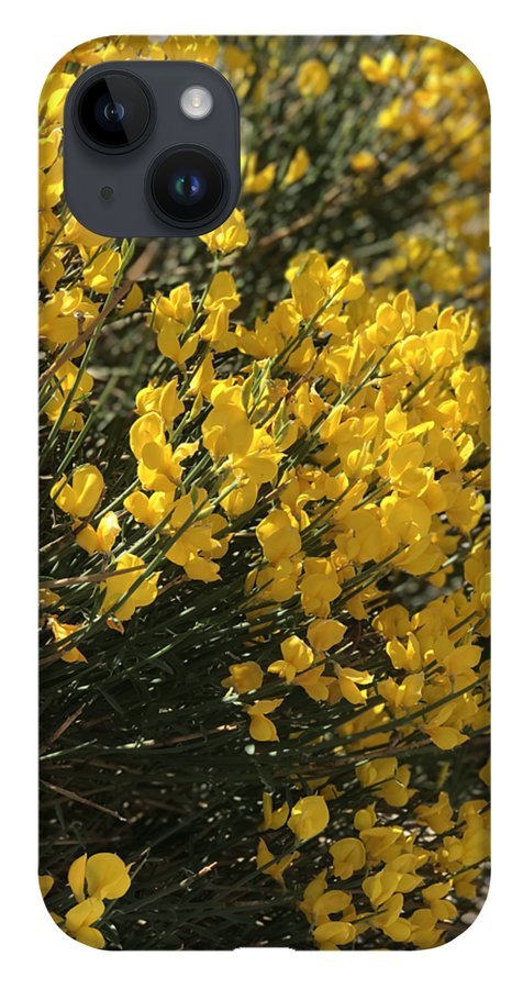 Spanish Broom - Phone Case