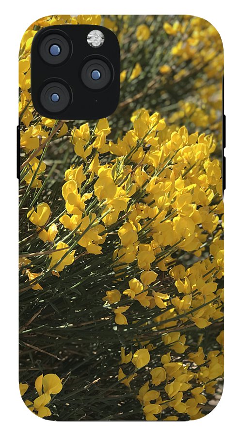 Spanish Broom - Phone Case