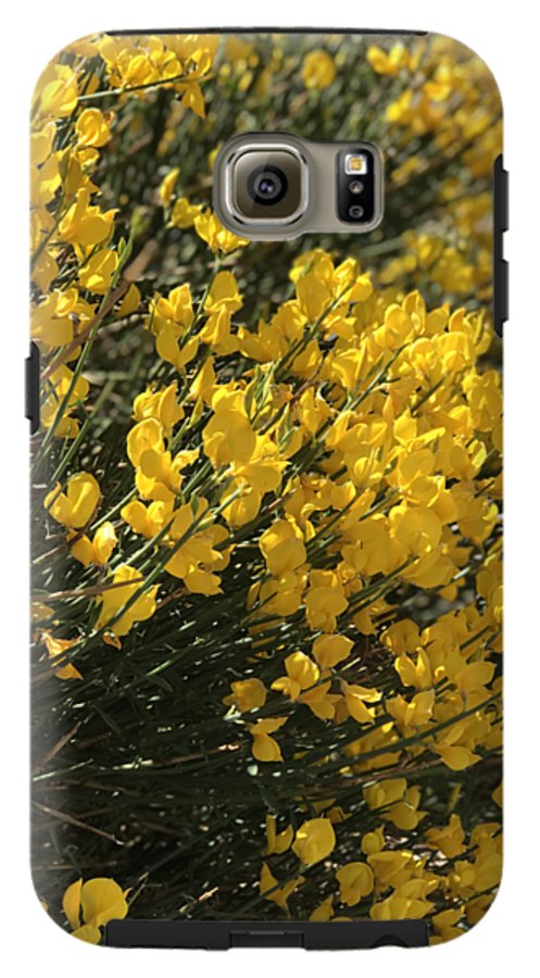 Spanish Broom - Phone Case