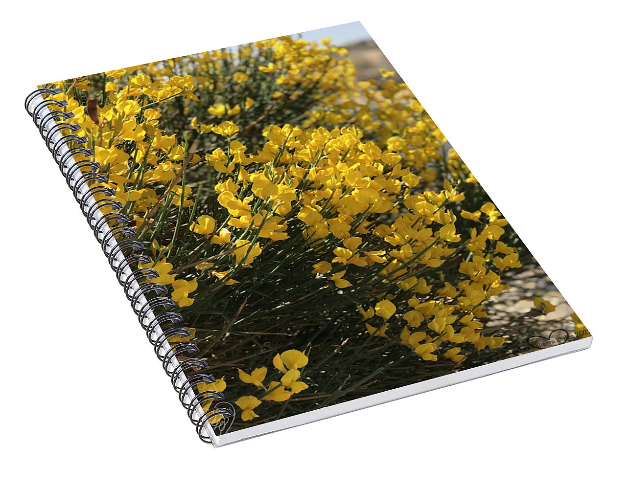 Spanish Broom - Spiral Notebook