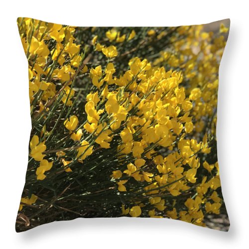 Spanish Broom - Throw Pillow