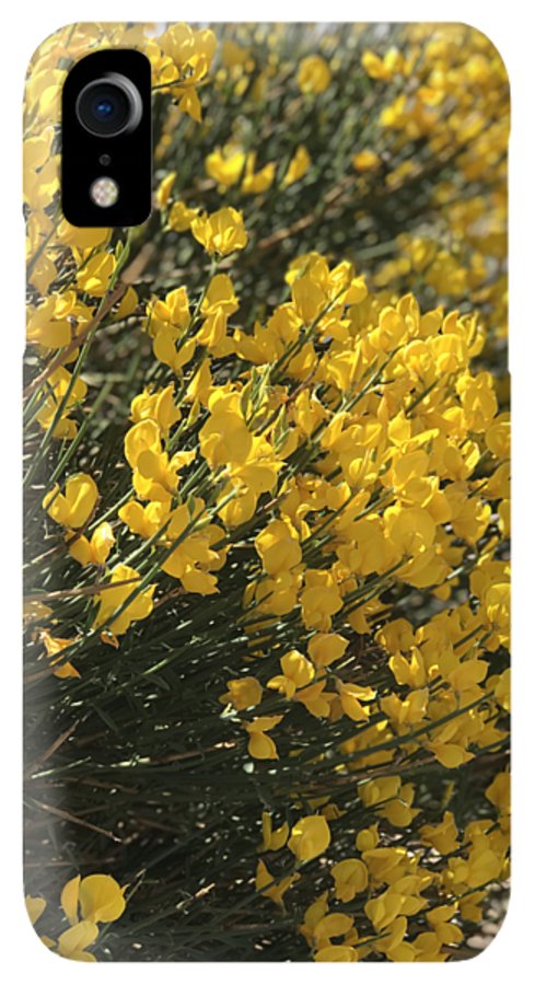 Spanish Broom - Phone Case