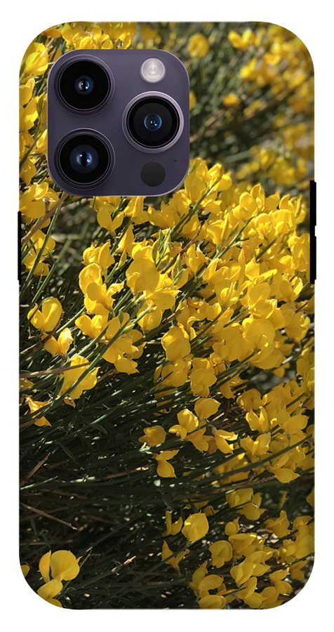 Spanish Broom - Phone Case