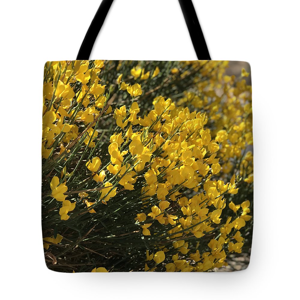 Spanish Broom - Tote Bag