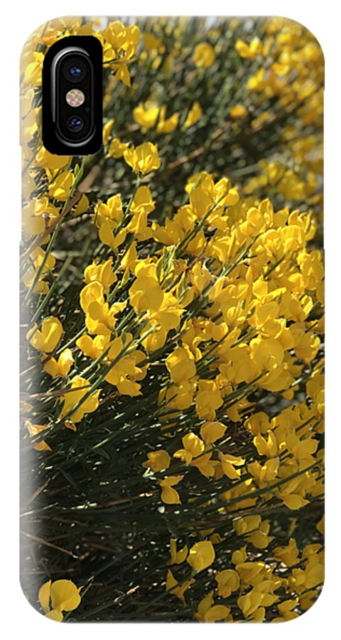 Spanish Broom - Phone Case